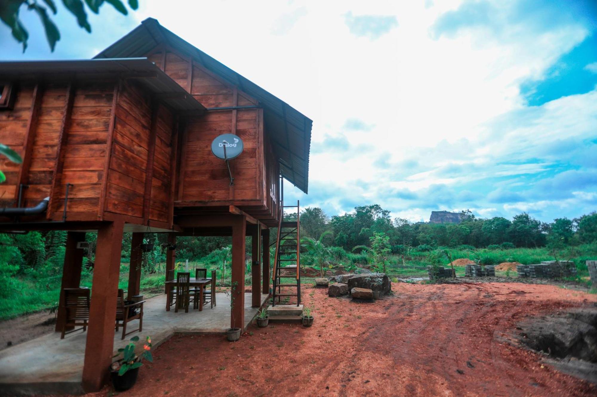 Lion Wood Treehouse Talkote Exterior foto