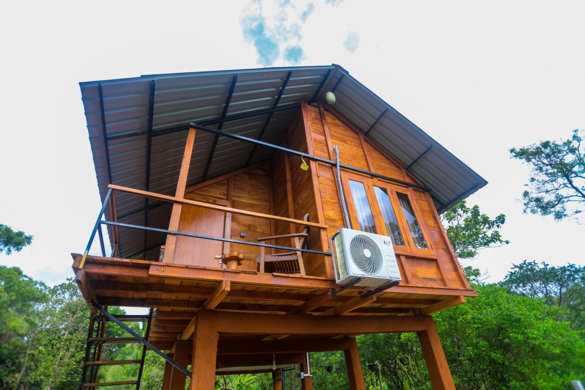 Lion Wood Treehouse Talkote Exterior foto