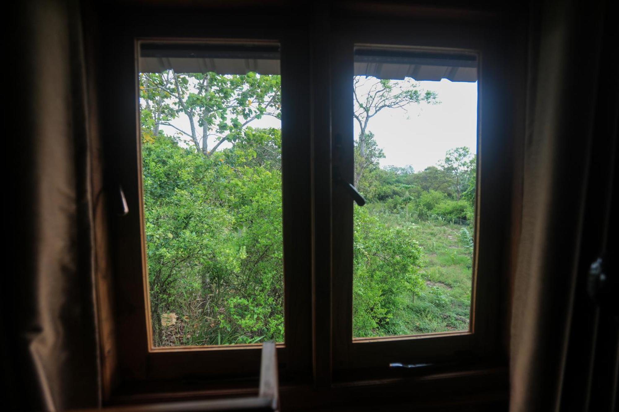 Lion Wood Treehouse Talkote Exterior foto