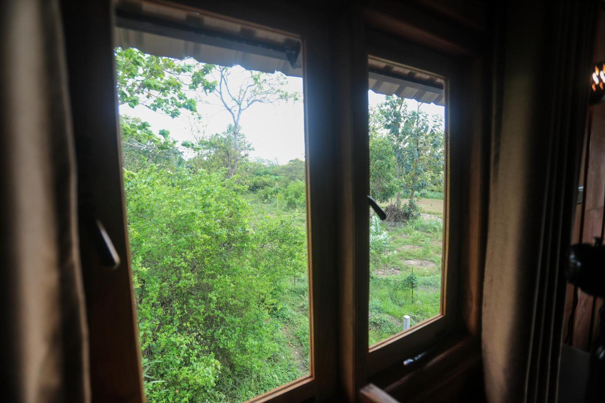 Lion Wood Treehouse Talkote Exterior foto