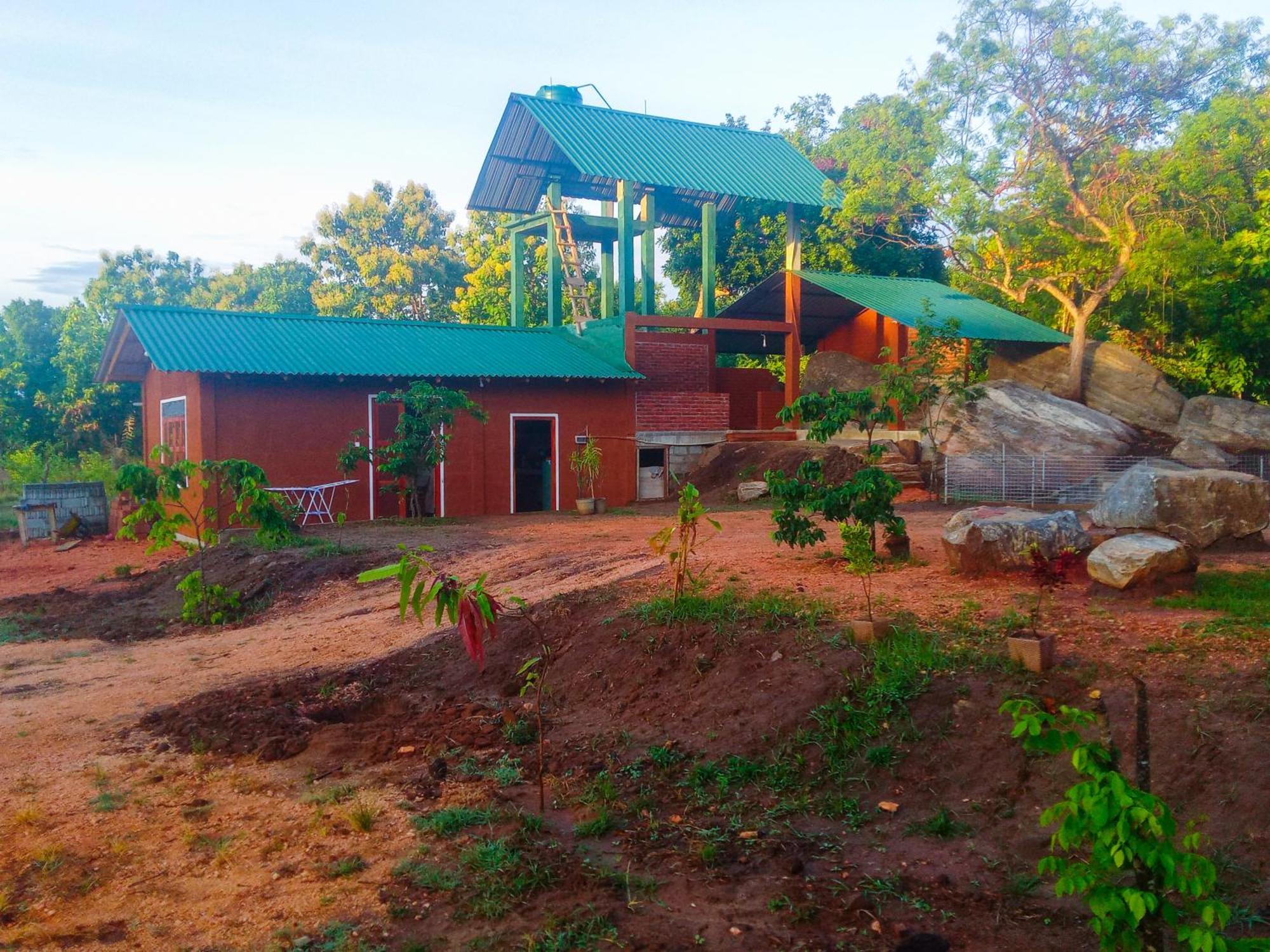 Lion Wood Treehouse Talkote Exterior foto