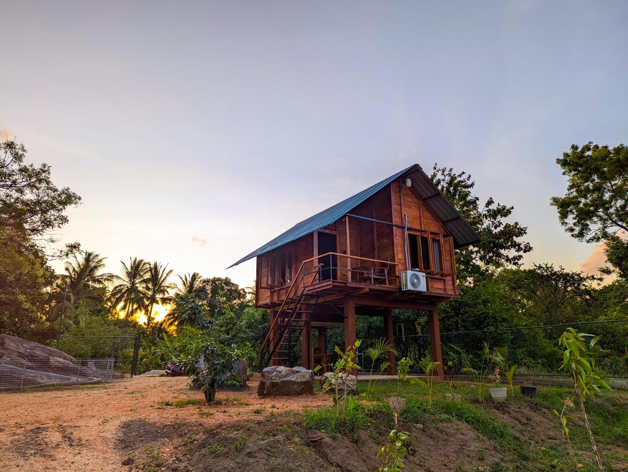 Lion Wood Treehouse Talkote Exterior foto