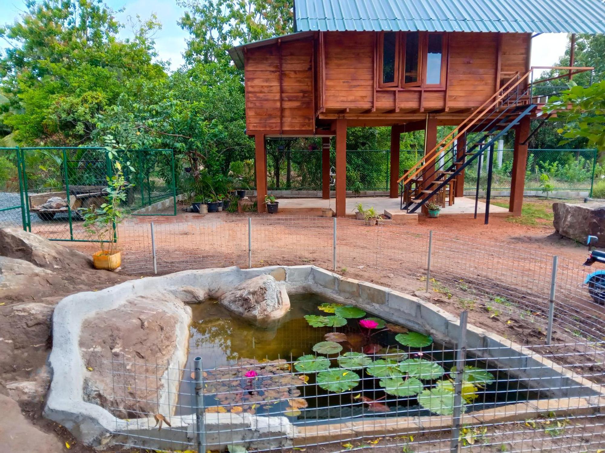 Lion Wood Treehouse Talkote Exterior foto