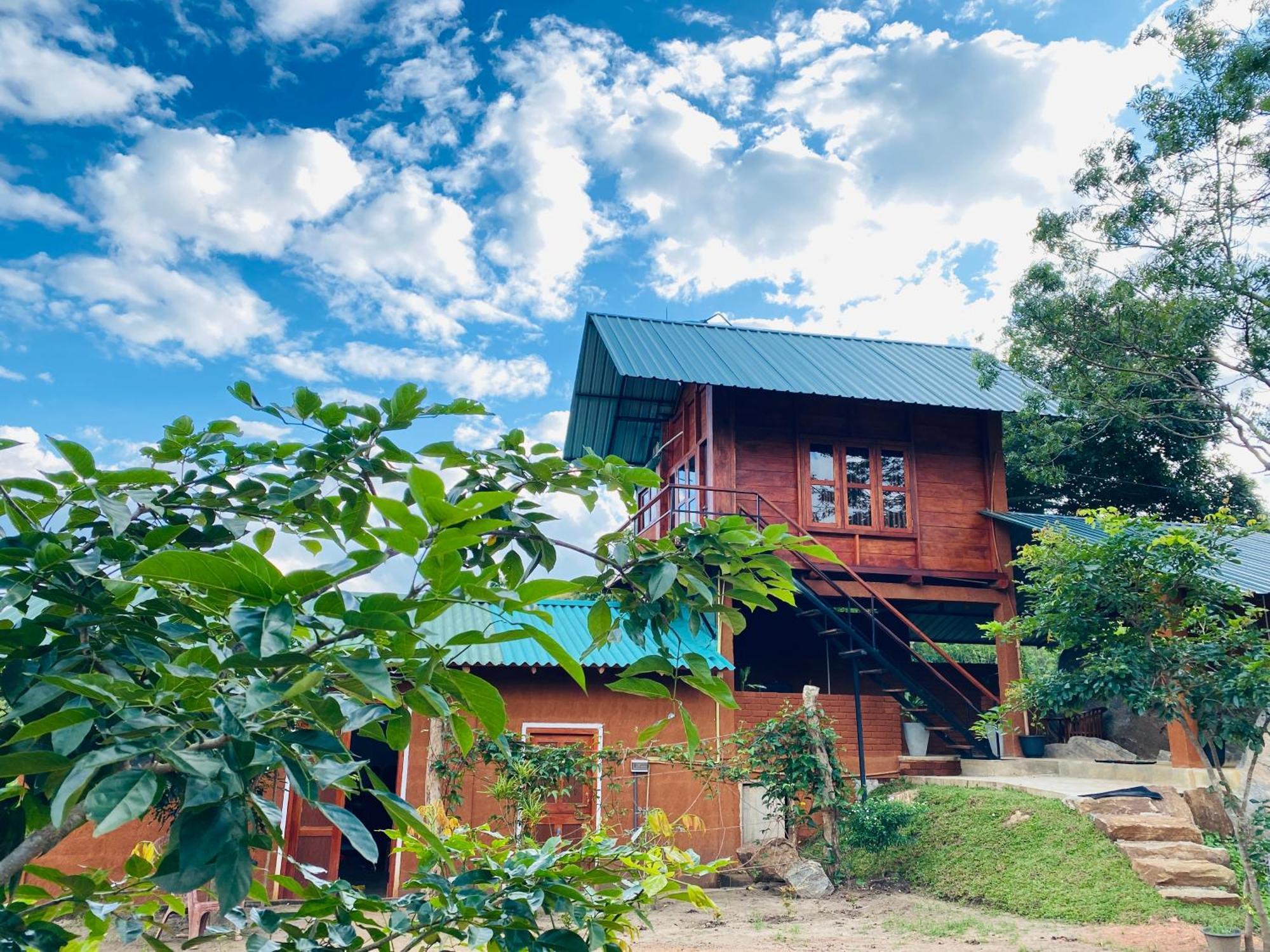 Lion Wood Treehouse Talkote Exterior foto